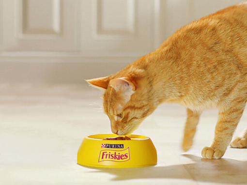 Friskies image